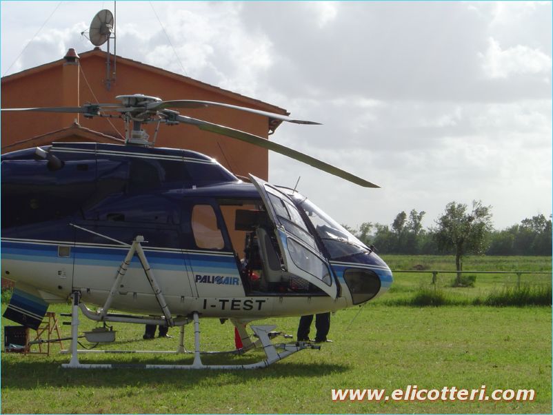 elifoto (90)